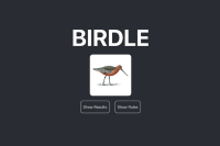 Birdle Game