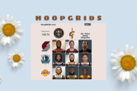 Hoop Grids